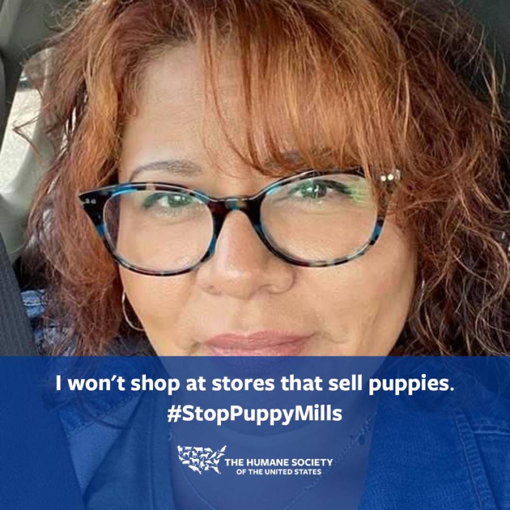 Meet your Posher, Vero